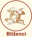 horoskop blíženci